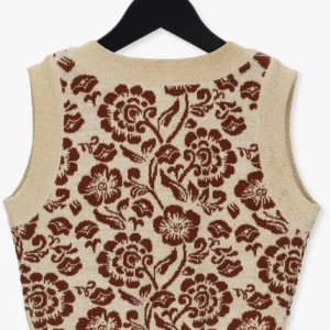 Baje Studio Gilet Capri En Marron 9